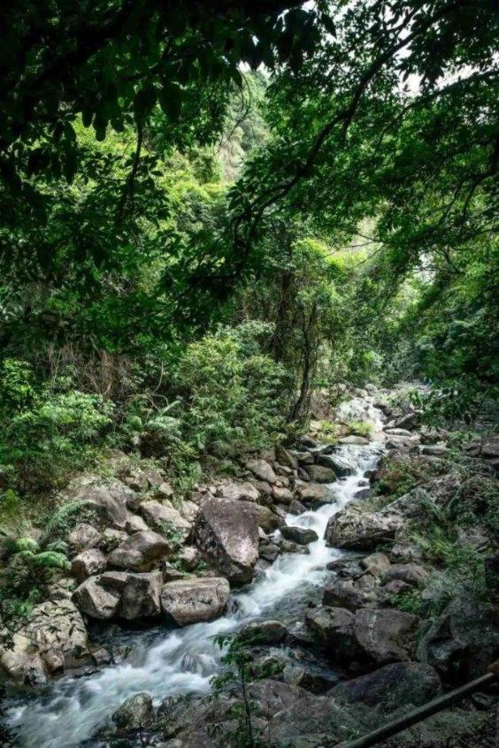因孩子爱吃福建大姐做农村小吃，结果食客排队要，轻松日卖1000多