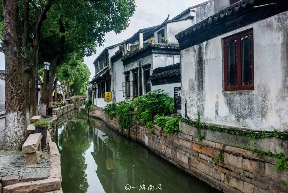 救援小巨鳄